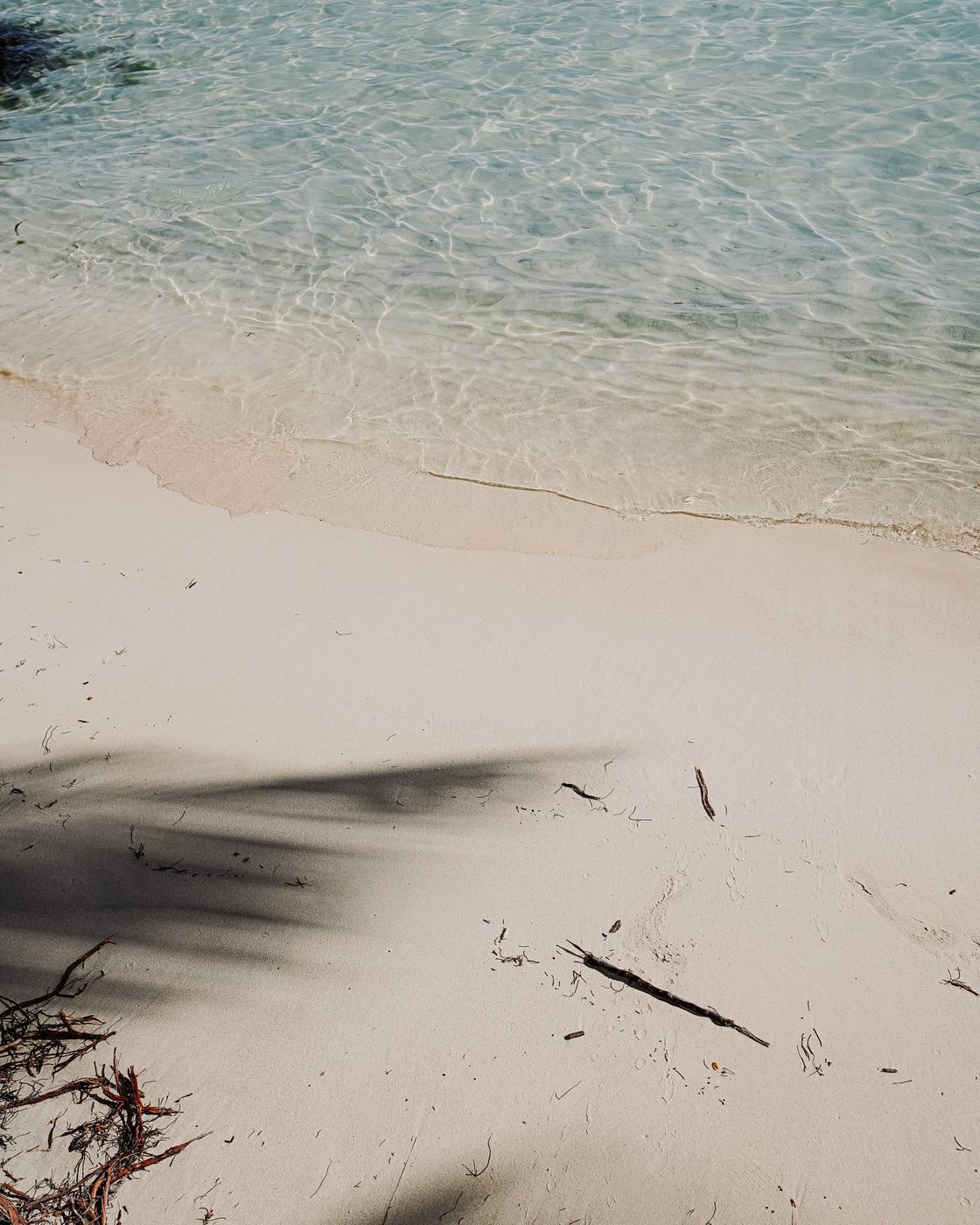 Eau turquoise et sable blanc de la plage de Sainte-Anne, Guadeloupe