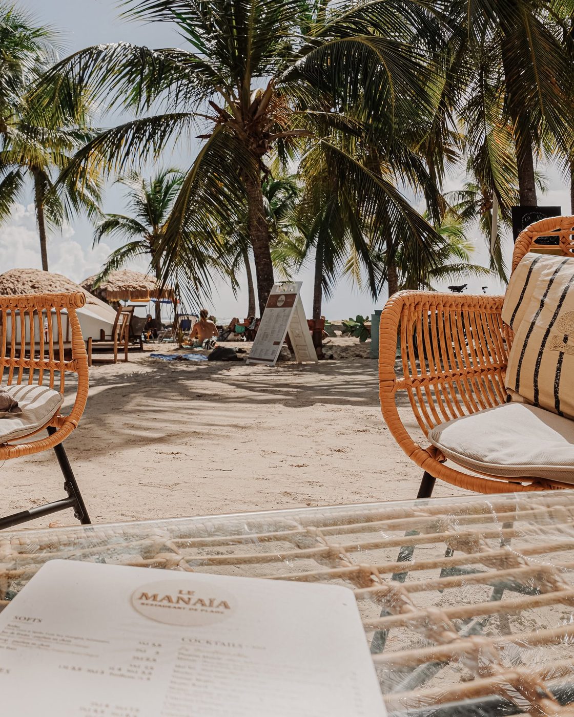 Terrasse du Manaïa avec fauteuils en rotin sous les cocotiers face à la plage de Sainte-Anne