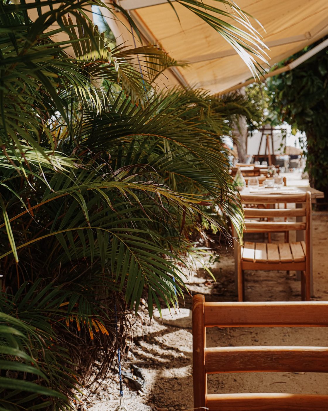 Tables en bois du Manaïa dressées sous les palmiers, restaurant de plage à Sainte-Anne